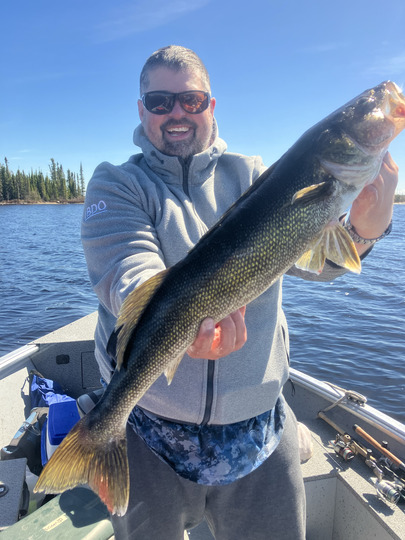 Walleye