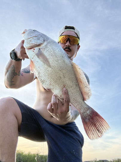 Freshwater Drum