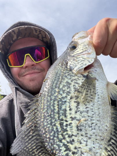 Black Crappie