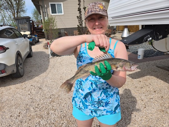 Sauger