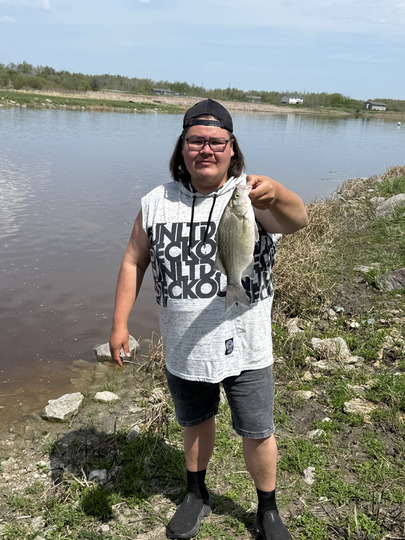 White Bass