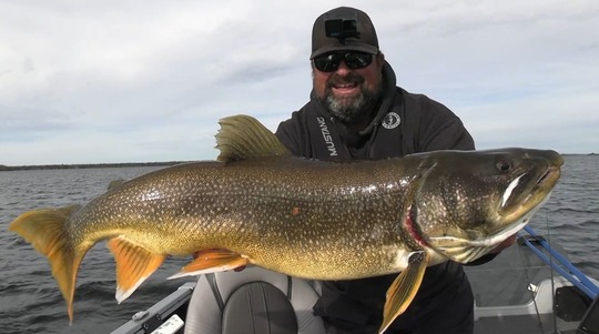 Lake Trout