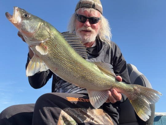 Walleye