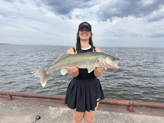 Walleye