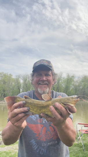 Bullhead