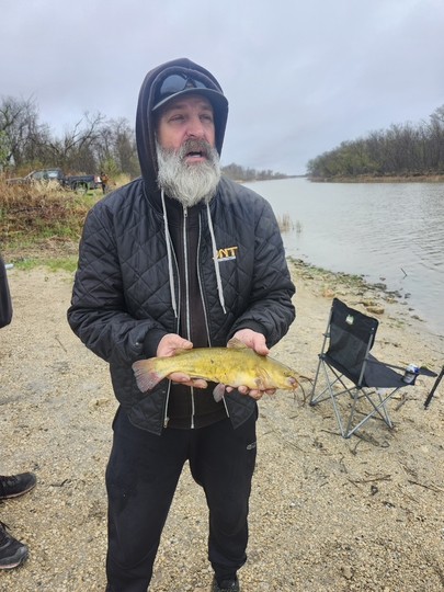 Bullhead