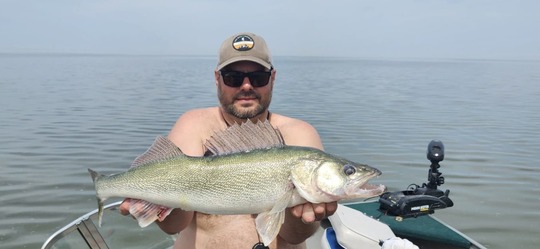 Walleye