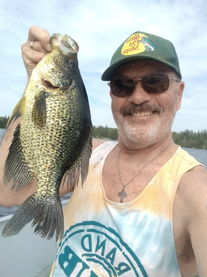 Black Crappie