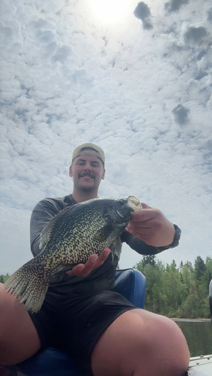 Black Crappie