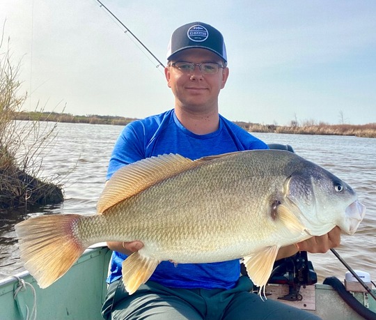 Freshwater Drum