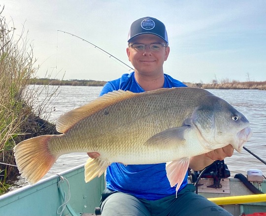 Freshwater Drum