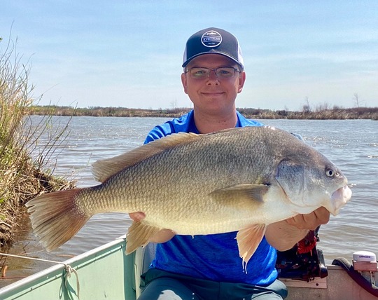 Freshwater Drum