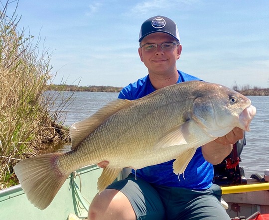 Freshwater Drum