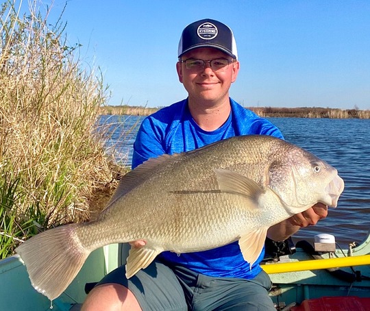 Freshwater Drum