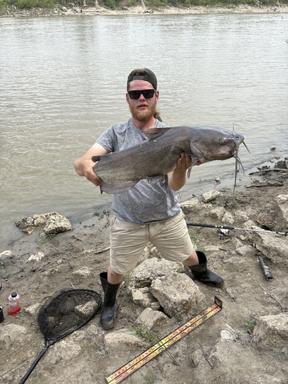 Channel Catfish