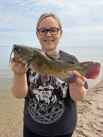 Bullhead