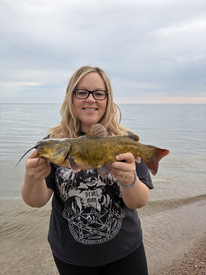 Bullhead