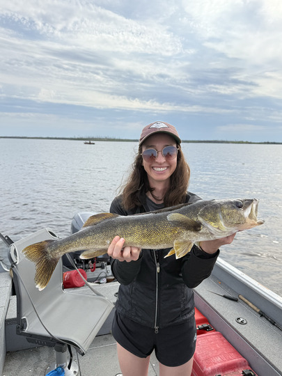 Walleye