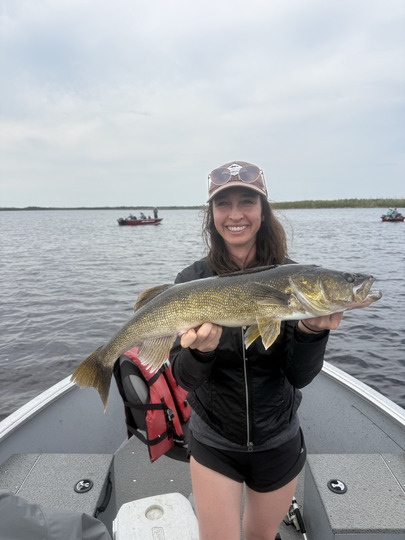 Walleye