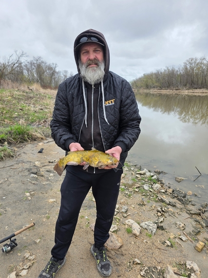 Bullhead