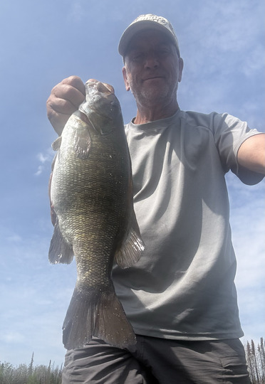 Smallmouth Bass