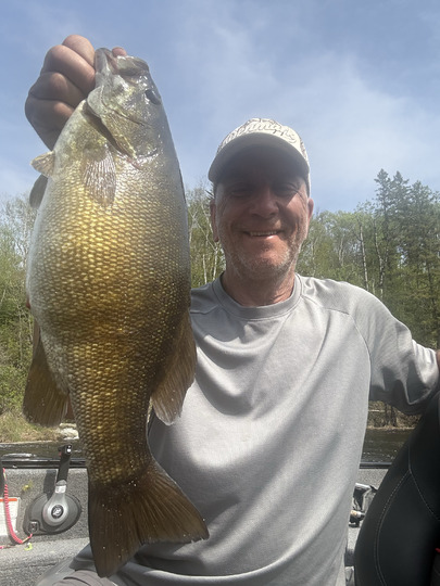 Smallmouth Bass