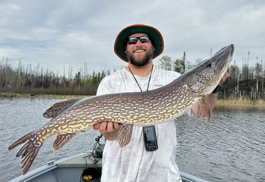 Northern Pike