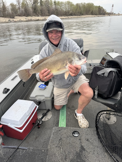 Freshwater Drum