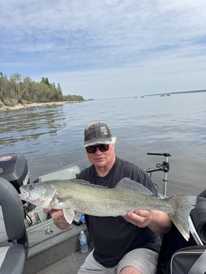 Walleye
