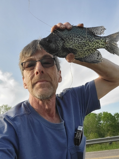 Black Crappie