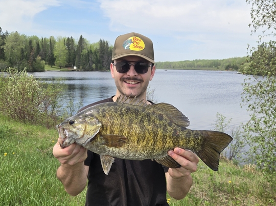 Smallmouth Bass