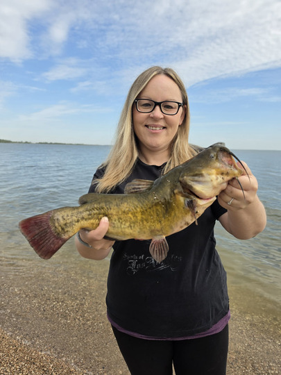 Bullhead