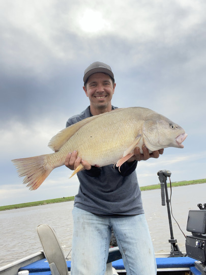 Freshwater Drum