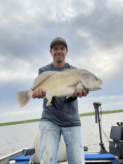 Freshwater Drum