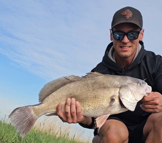 Freshwater Drum