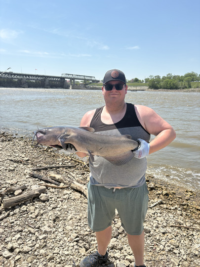Channel Catfish