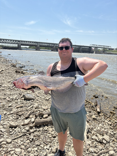 Channel Catfish