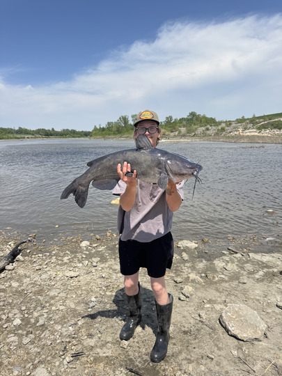 Channel Catfish