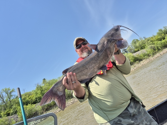 Channel Catfish