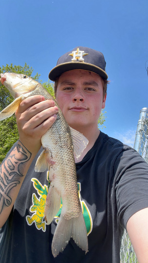 Sucker