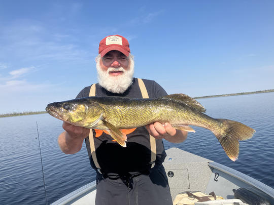 Walleye