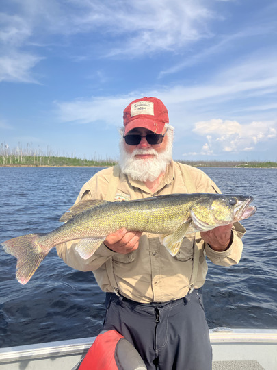 Walleye