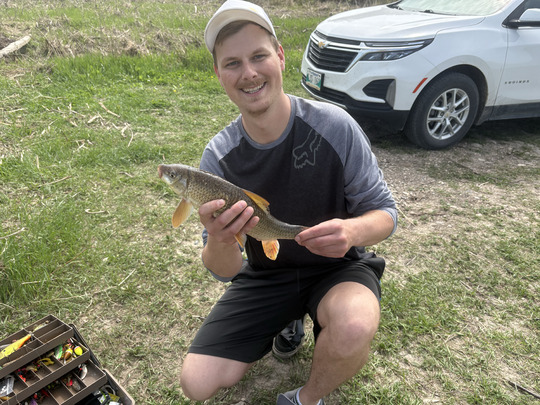 Sucker