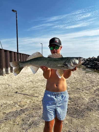 Walleye