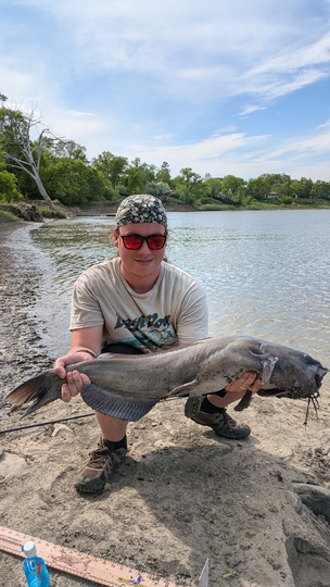 Channel Catfish