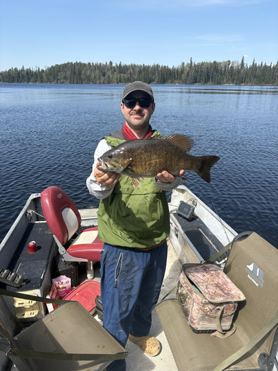 Smallmouth Bass