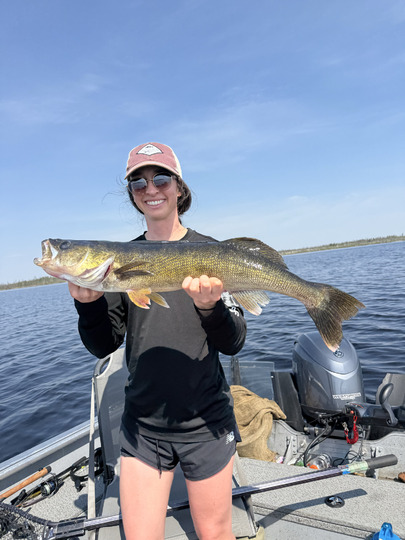 Walleye