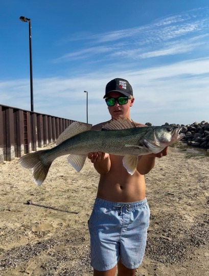 Walleye