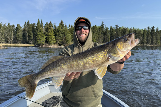 Walleye