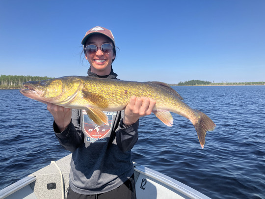Walleye